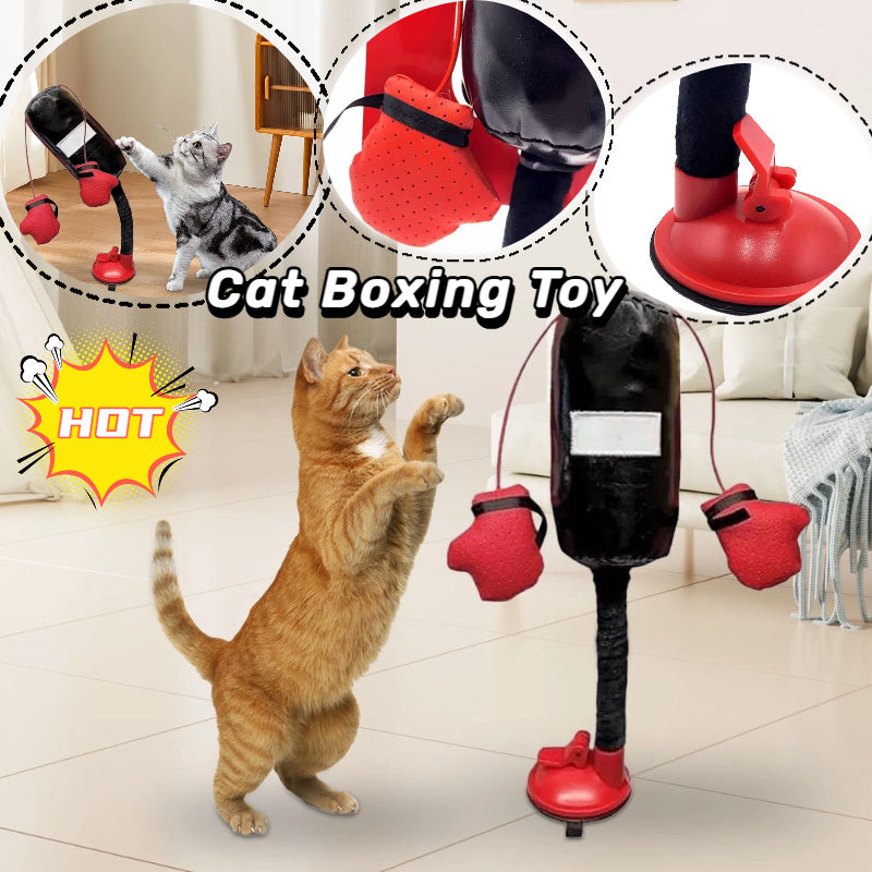 Portable Cat Punching Bag Toy Interactive Indoor Kitten Pet Supplies Koalakits36