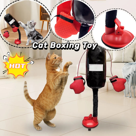 Portable Cat Punching Bag Toy Interactive Indoor Kitten Pet Supplies Koalakits36