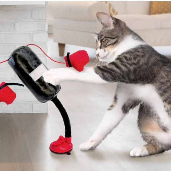 Portable Cat Punching Bag Toy Interactive Indoor Kitten Pet Supplies Koalakits36