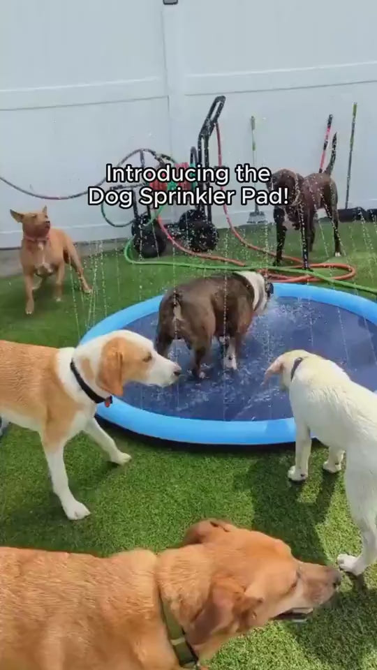 Kids Dog Non-Slip Splash Pad - Non-Slip Splash Pad | Koalakits36