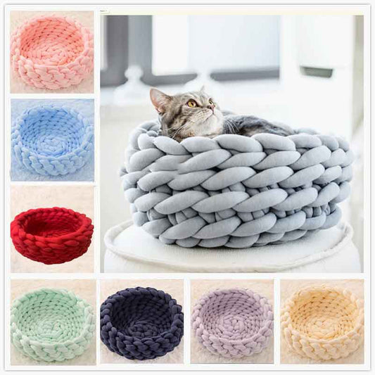 Best Pet Accessories for Cats and Dogs in 2026 A Complete Buying Guide