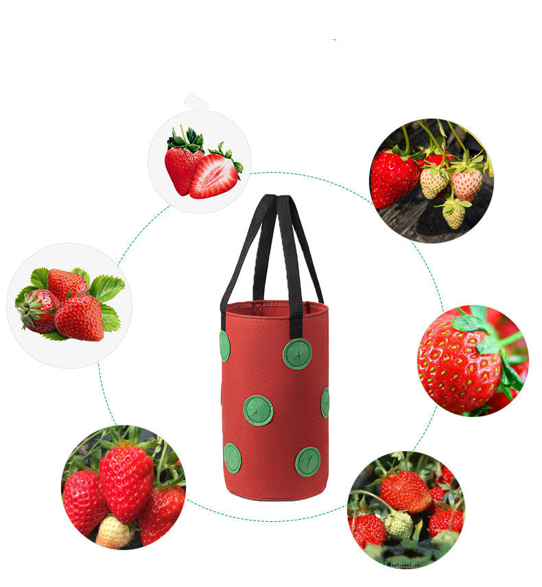 Vertical Strawberry Grow Bag – Transform Your Gardening Experience