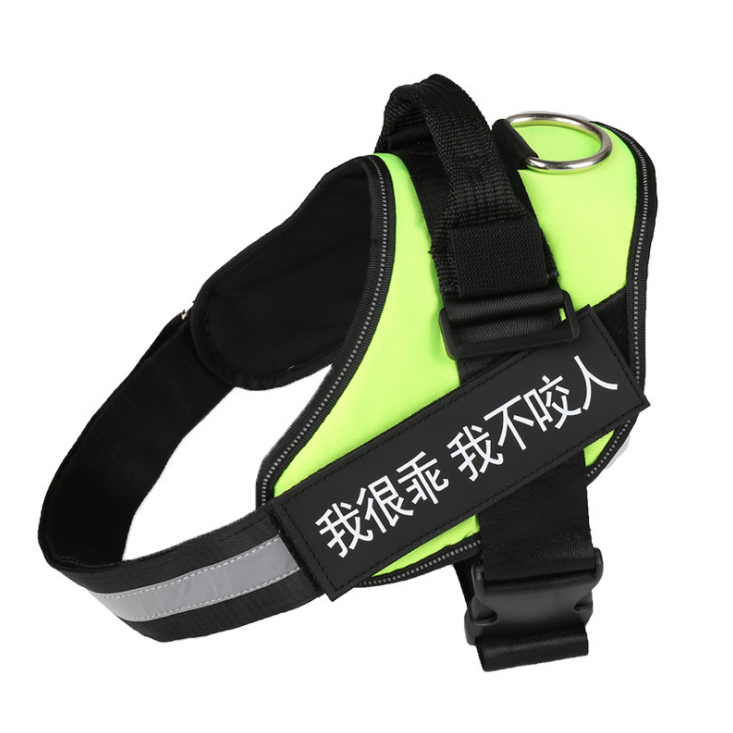 Best Dog Harness