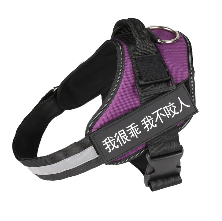 Best Dog Harness