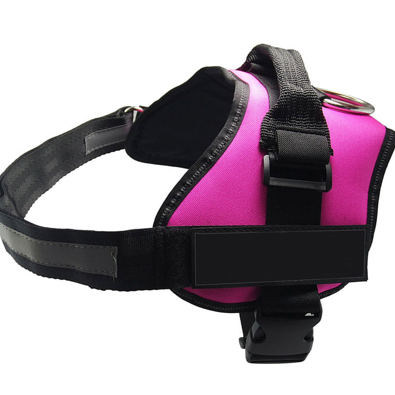 Best Dog Harness