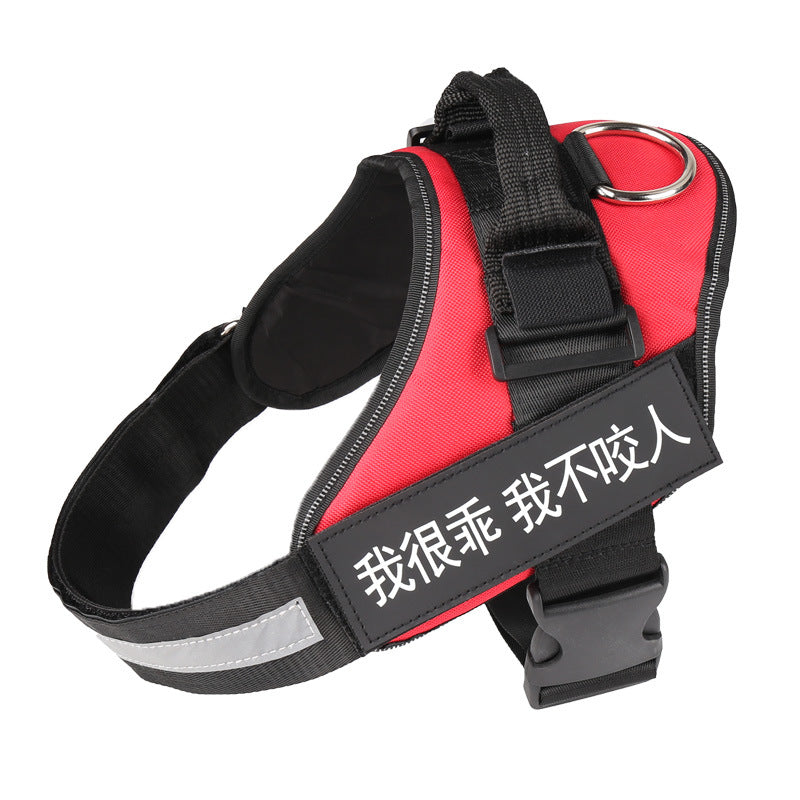 Best Dog Harness