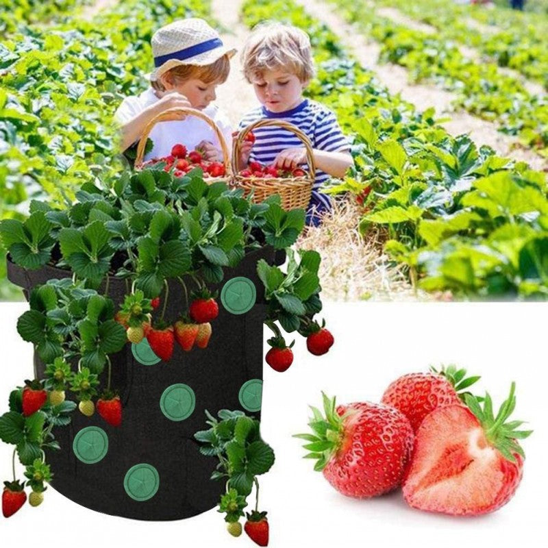 Vertical Strawberry Grow Bag – Transform Your Gardening Experience