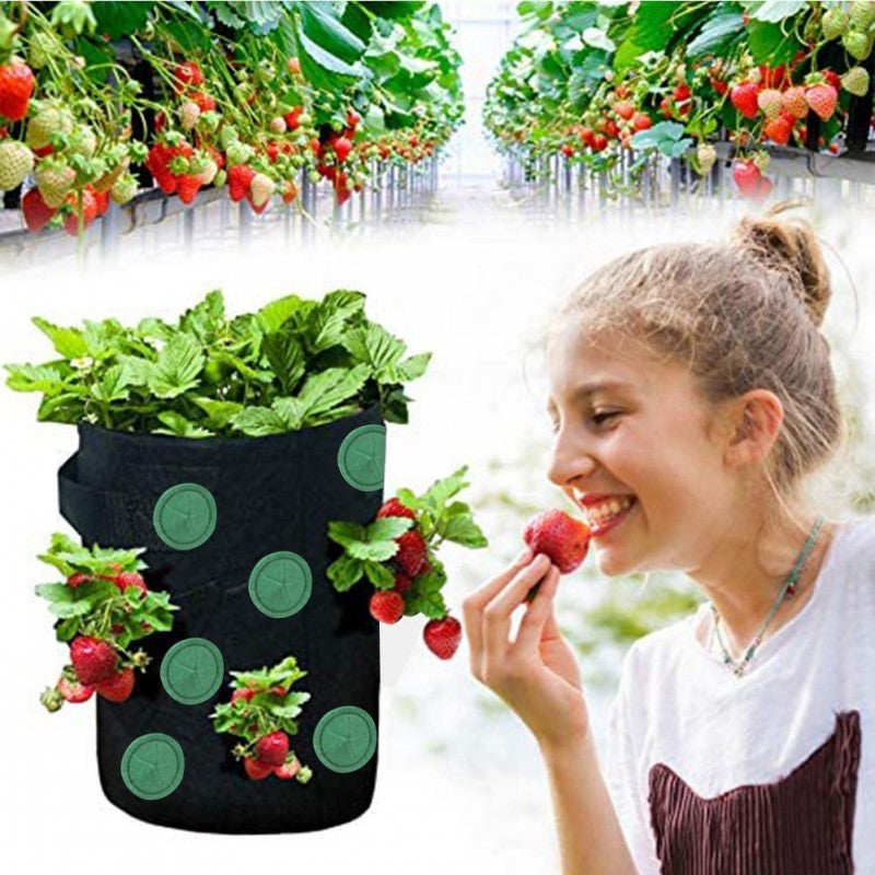 Vertical Strawberry Grow Bag – Transform Your Gardening Experience