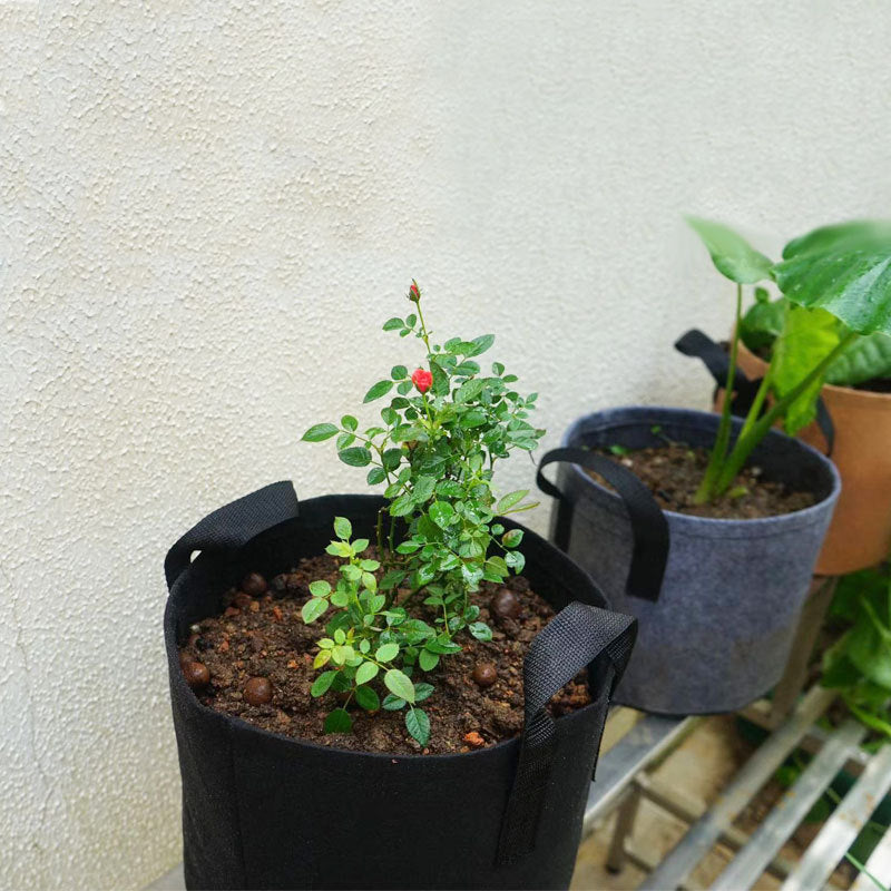 Nutrient Planting Bags - Enhance Your Gardening Experience with Our Versatile Nursery Bags
