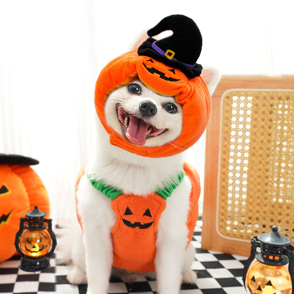 Halloween Pumpkin Vest For Dogs Cats Festive Pet Costume Harness Funny Thanksgiving Christmas Apparel For Small Pets Koalakits36
