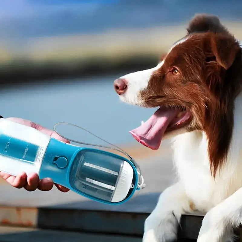 Dog Water Cup Drinking Food Three-in-one Portable Small Multi-functional | Koalakits36