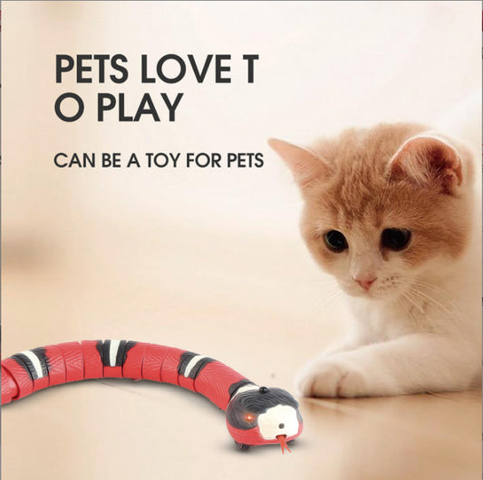 Snake Toy for Cat | Cat Toy Snake | Koalakits36