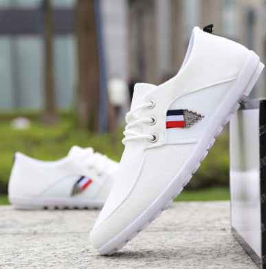 Men's Canvas Shoes - Soft Soled Peas Shoes | Koalakits36
