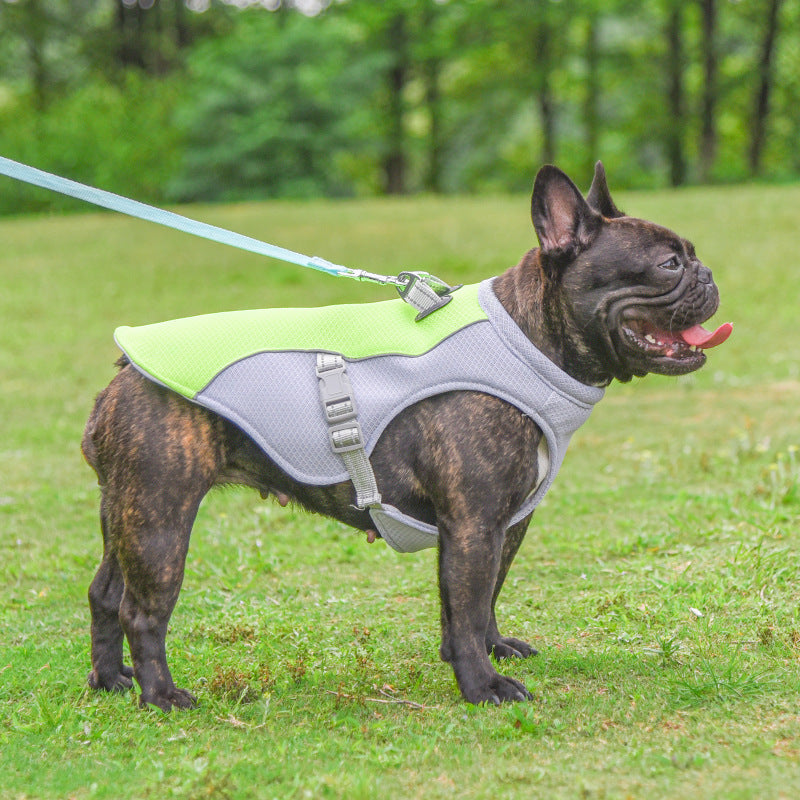 Summer Pet Dog Cooling Vest Heat Resistant Cool Dogs Clothes Breathable Sun-proof Clothing | Koalakits36