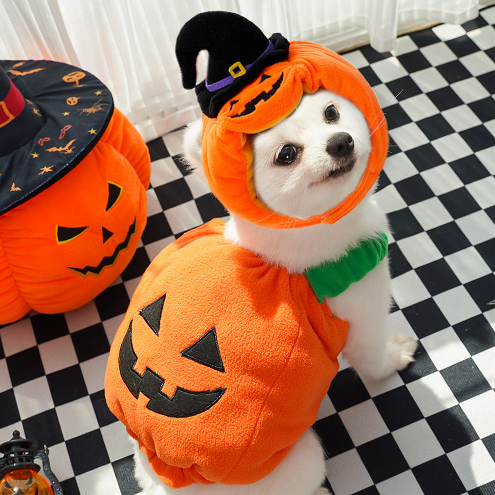 Halloween Pumpkin Vest For Dogs Cats Festive Pet Costume Harness Funny Thanksgiving Christmas Apparel For Small Pets Koalakits36